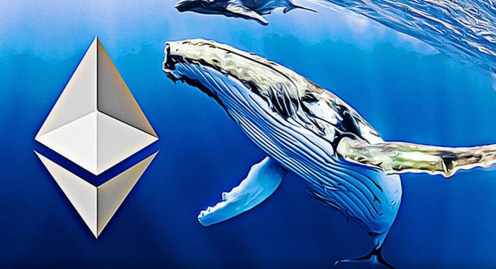 После семи лет затишья криптокит продал биткоины и купил 62,914 ETH
