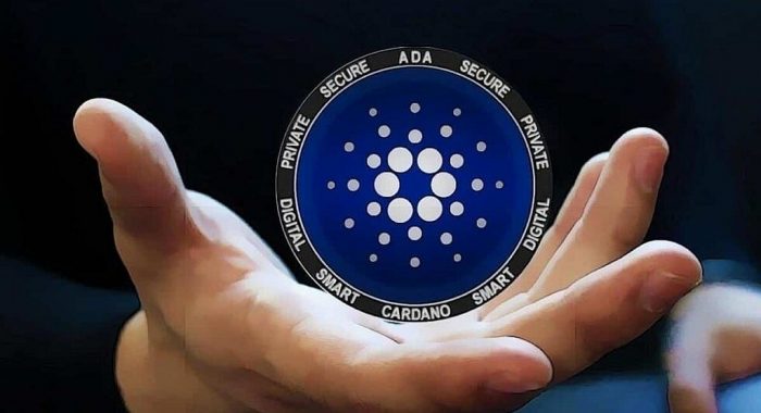 Активность пользователей Cardano побила рекорд благодаря Snek.Fun