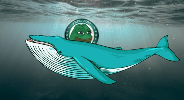 Криптокит совершил очередную крупную покупку PEPE. Это бычий знак?