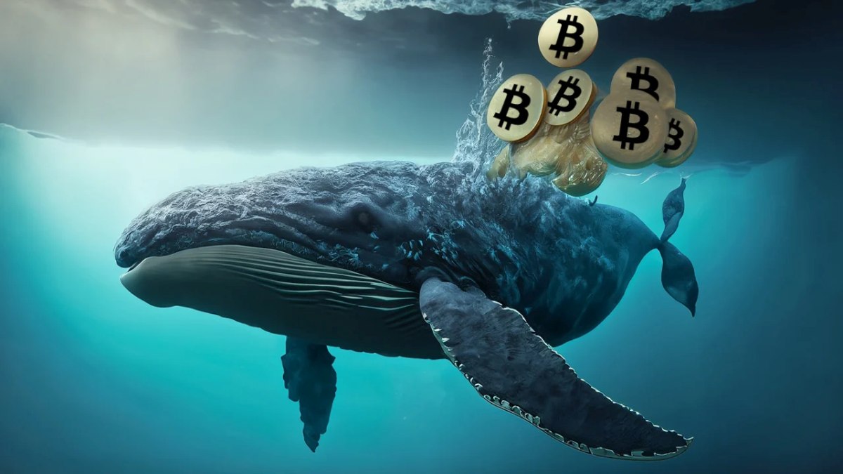 coinmag