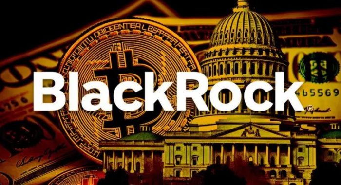 Доминирование Grayscale подорвано спотовыми биткоин-ETF BlackRock и Fidelity