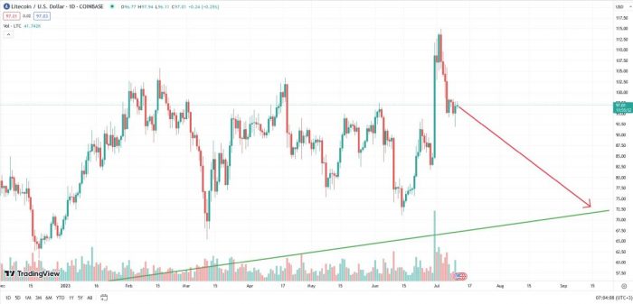 ltc-possible-price-drop