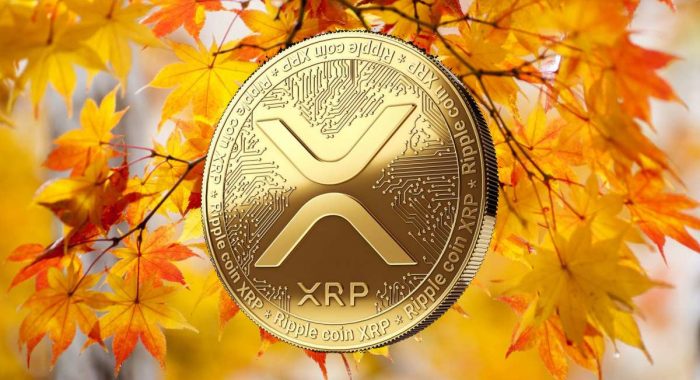 Алгоритм машинного обучения определил цену XRP к 30 ноября
