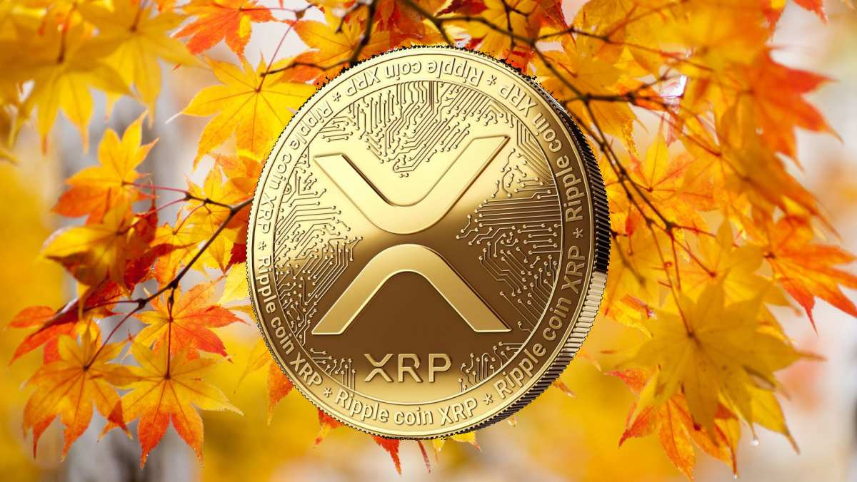 coinmag