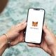 Компания MetaMask запустила кошелёк с ИИ-агентом и встроенной защитой