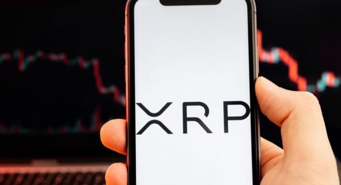 Если XRP повторит ценовую траекторию Dogecoin, токен прибавит 17 000%