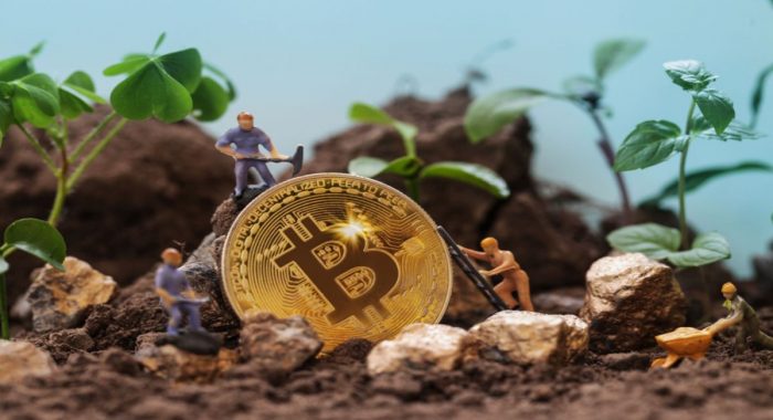Сможет ли биткоин достичь $100000 до халвинга, или у новых монет более высокий потенциал?