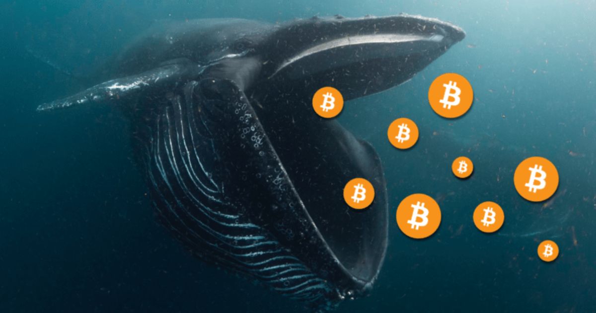 coinmag