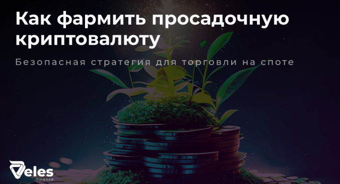 Тем, у кого крипта в просадке: у Veles появилась стратегия для безопасного фарминга монет