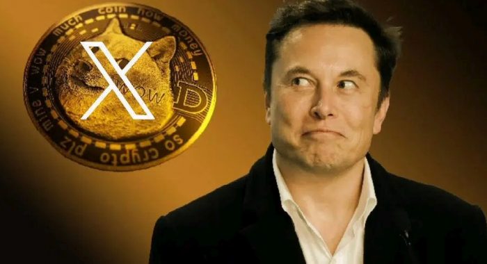 Действия Илона Маска создают ценовые риски для токена Dogecoin