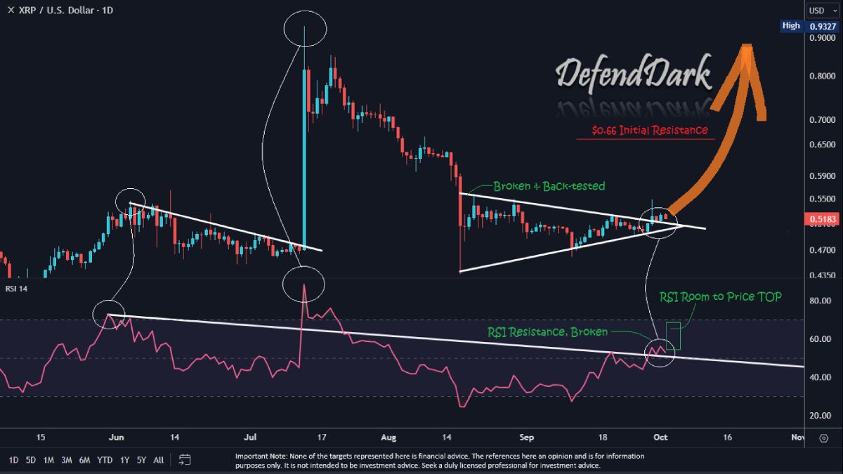 dark-defender-xrp-rise
