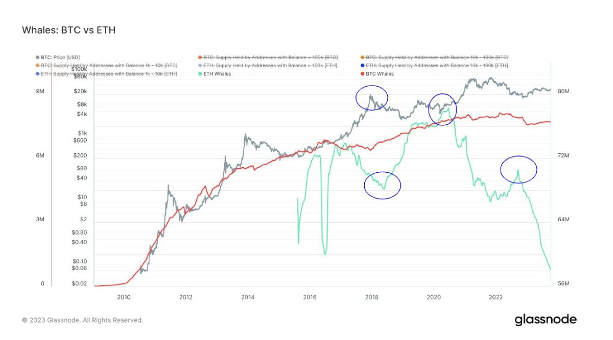 eth-btc-whales-holdings