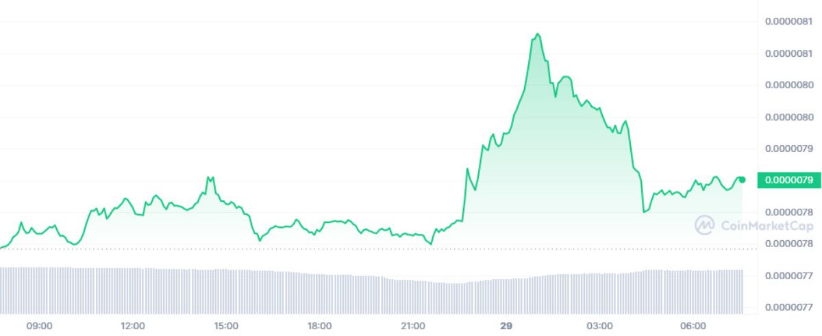 shib-dump-pump-29-october