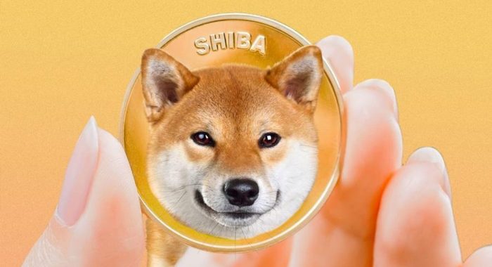 Петицию о создании Shiba Inu-ETF подписали более 10 000 человек