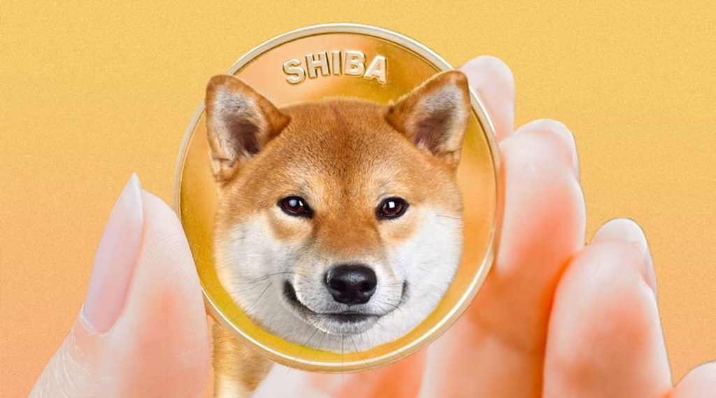 coinmag