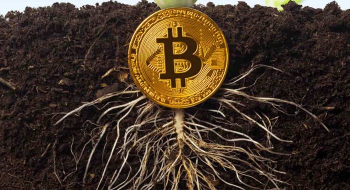 Программа Taproot Assets создана для выпуска токенов на блокчейне биткоина