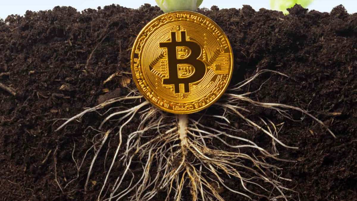 coinmag