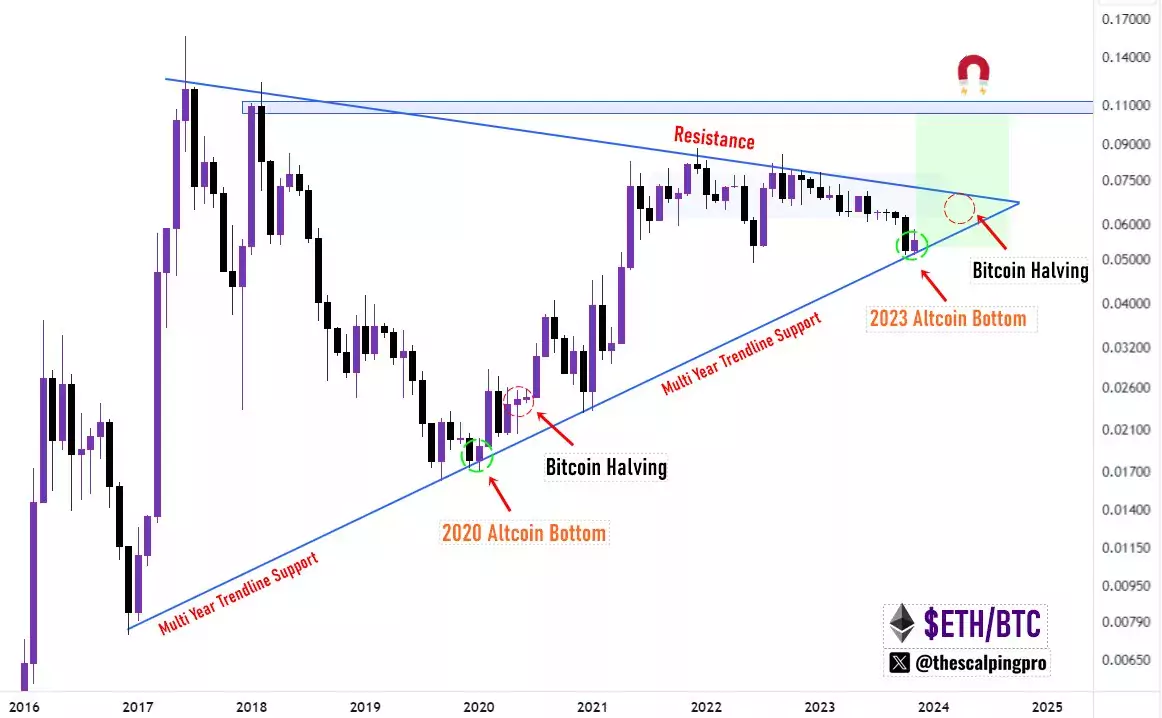 altcoin bull market