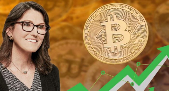 Кэти Вуд советует вкладывать в биткоины для защиты от дефляции