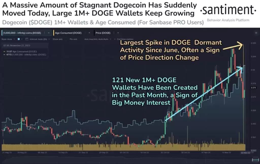 Influx-of-wallets-that-hold-1-million-or-more-in-DOGE