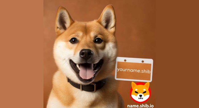 Команда монеты-мема Shiba Inu представила службу доменных имён