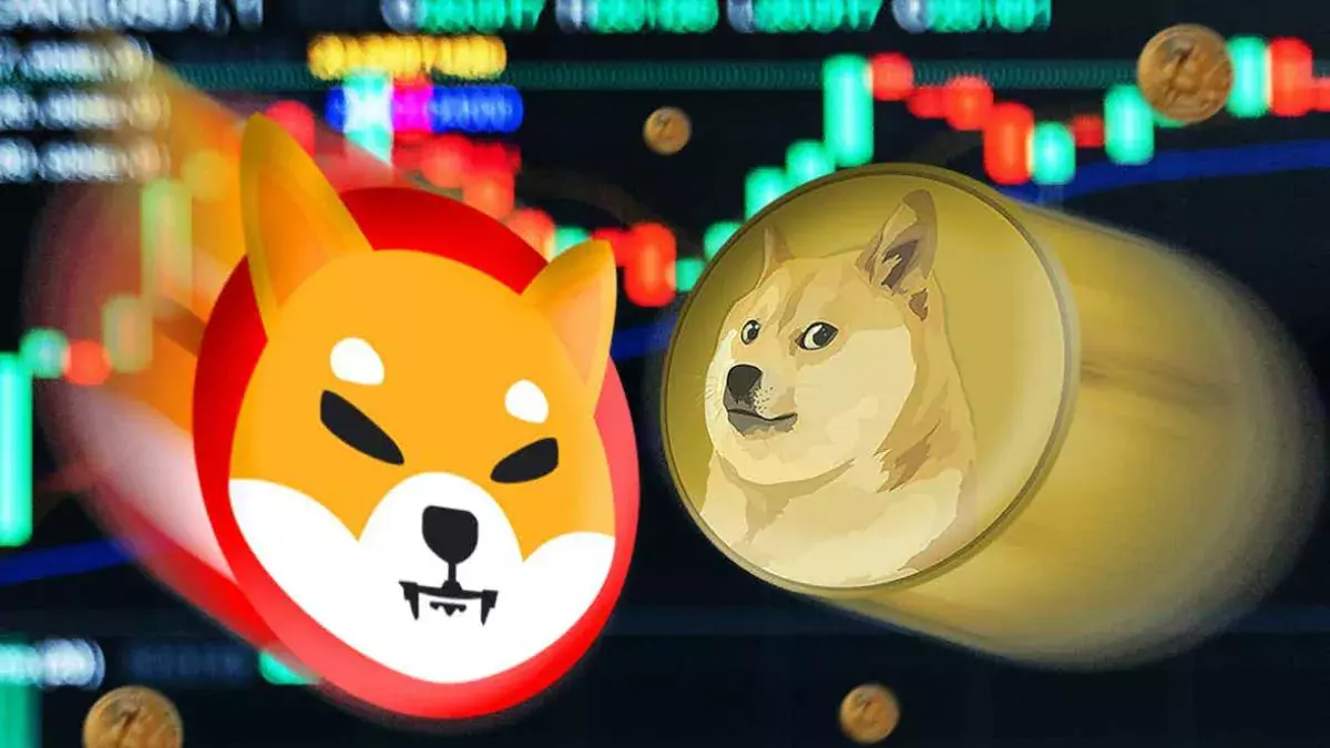 coinmag