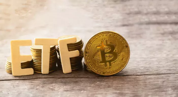 Эмитенты новых биткоин-ETF уже владеют более чем 500 000 BTC