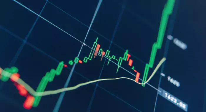Создатели $SPONGE объявили о новом проекте. Сможет ли он повторить успех предшественника?