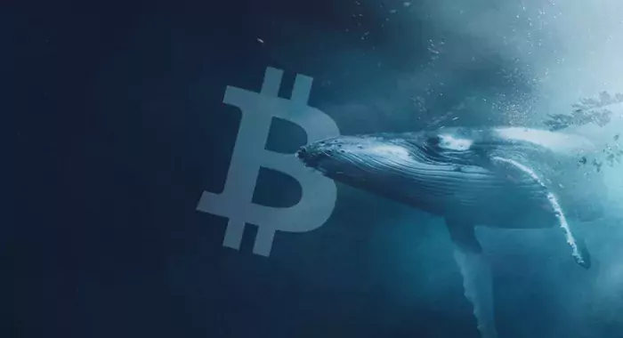 Методично скупавший биткоины богач продал монеты себе в убыток