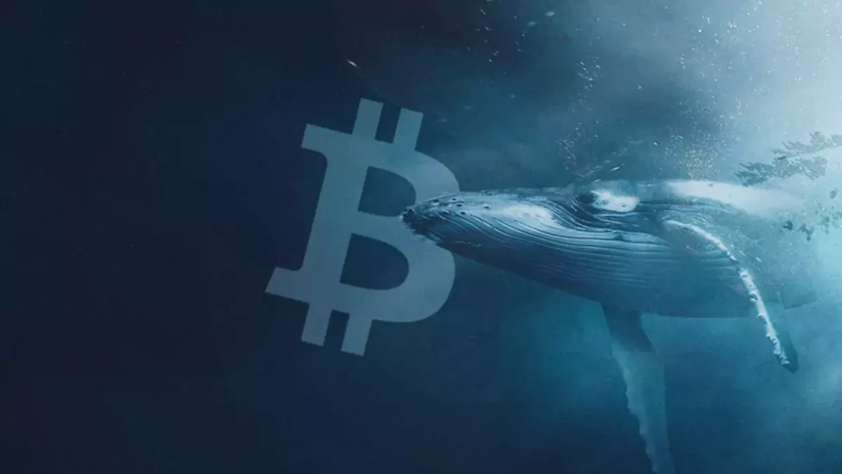 coinmag
