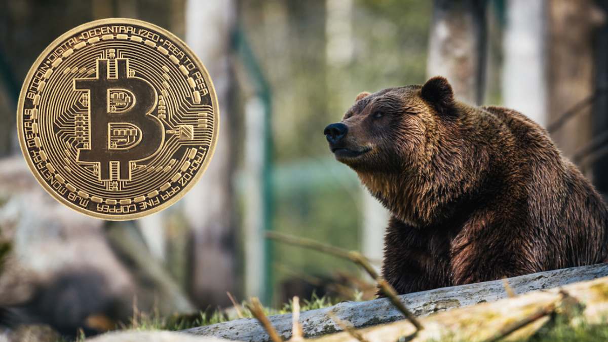 coinmag