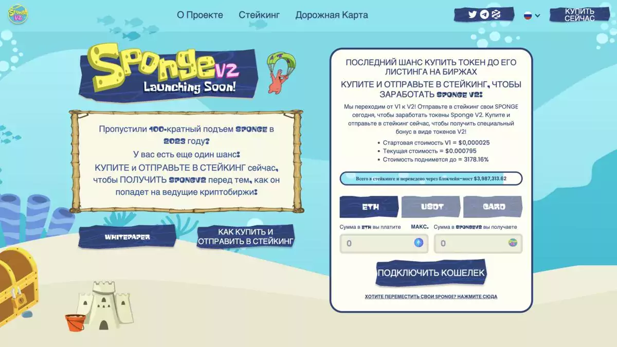 Sponge
