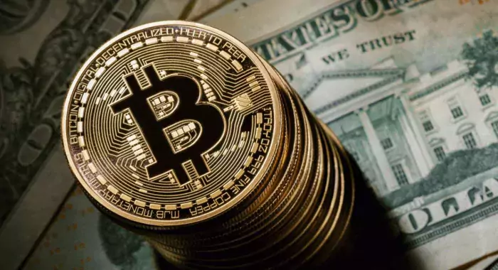 Why aren't tech giants willing to invest in Bitcoin?