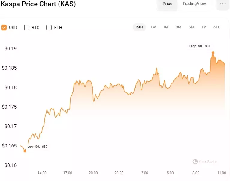 KAS-USD-24-hour-price-chart-source-CoinStats