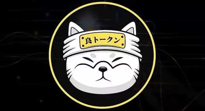 Проект уровня 2 Ryoshi на Shiba Inu планирует выпустить 200 млн токенов управления