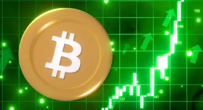 Аналитики не могут найти вескую причину роста биткоина до $79,500