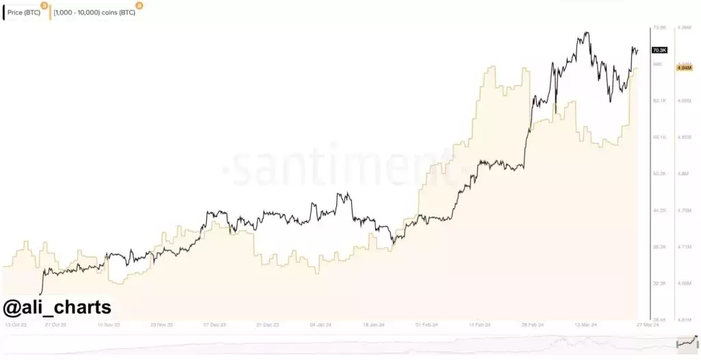 Bitcoin-whales-accumulation