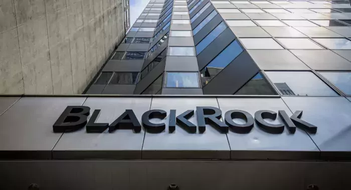 Криптохранилище BlackRock завалили NFT и криптовалютами-мемами
