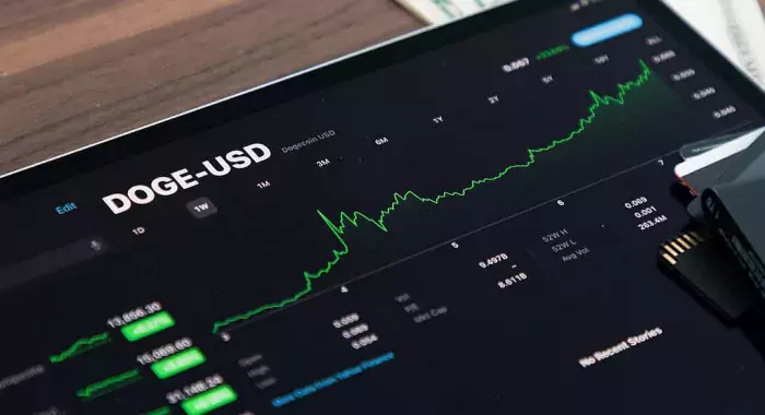Как трейдер Dogecoin (DOGE) за 48 часов превратил $10000 в $100000
