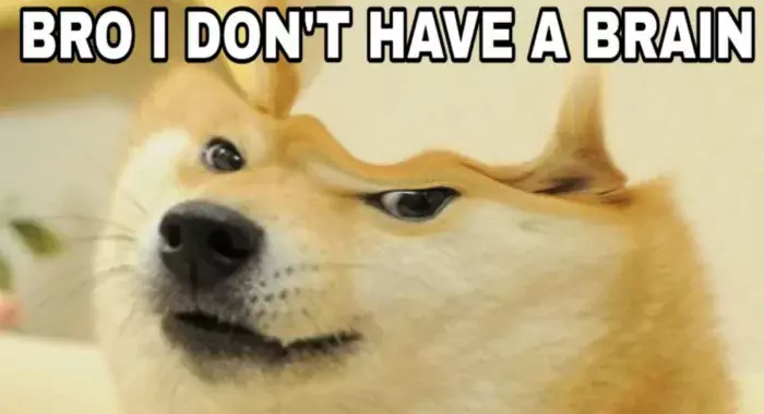 Dogecoin служит индикатором слабоумия людей, считает её создатель