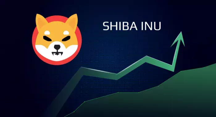 За четыре дня число транзакций в сети Shibarium выросло на 100%