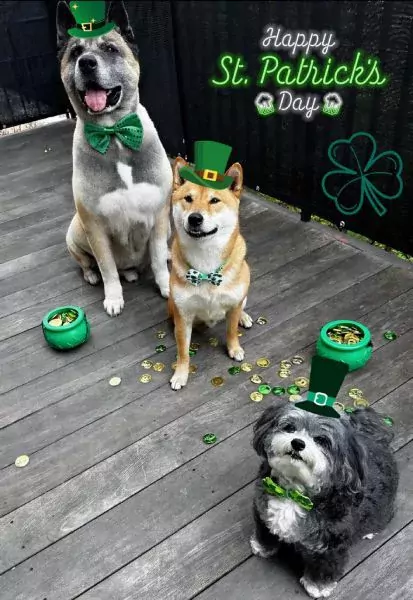 musk-st-patricks-day
