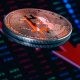 Падение биткоина на 50% от максимума говорит о зрелости рынка