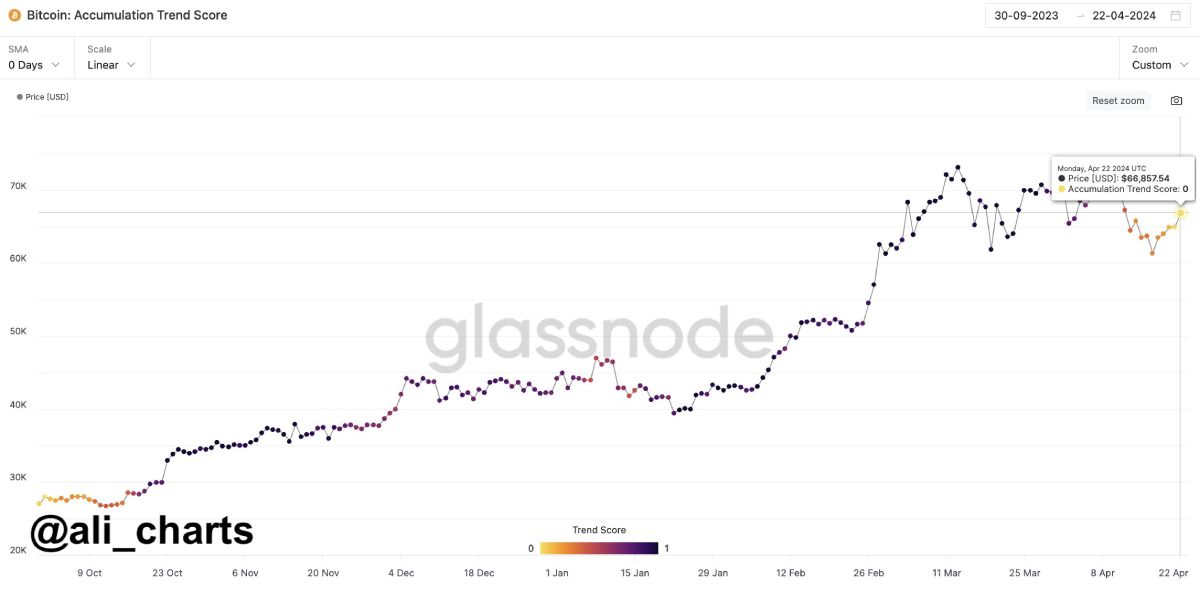btc-accumilation-trend-score-martinez