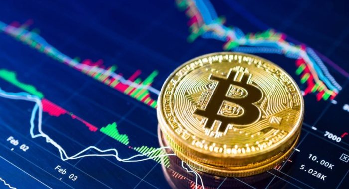 Лидер по IQ ошибся с прогнозом на биткоин и пообещал подарить 1 BTC