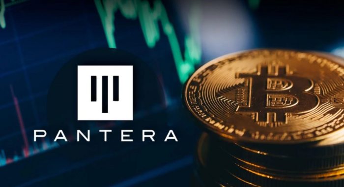 Pantera Capital создаст новый криптовалютный фонд размером $1 млрд