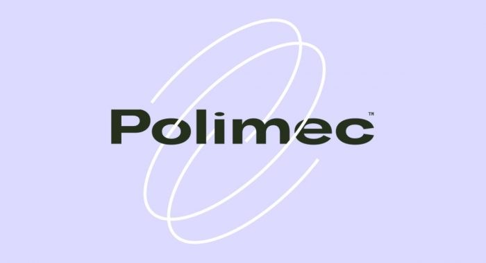Polkadot запустил протокол Polimec для привлечения финансирования