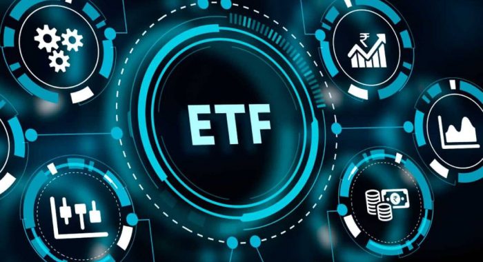 Аналитики Bloomberg назвали 5 альткоинов, ETF с которыми могут быть запущены в 2025 году