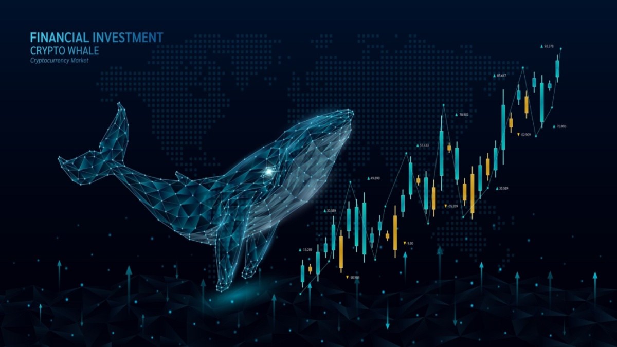 coinmag