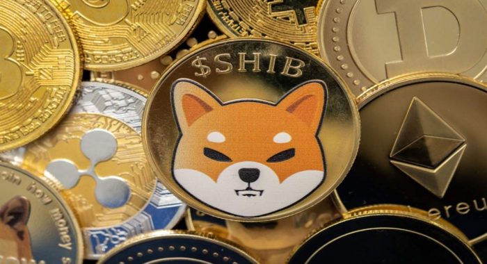 Мемкоин Shiba Inu закрыл август в плюсе. Стоит ли хранить SHIB в сентябре?